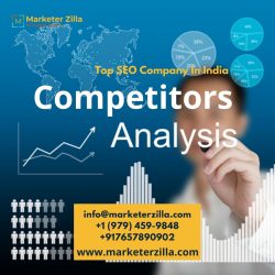 Top SEO Company In India – Marketer Zilla