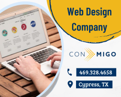 Web Development Company