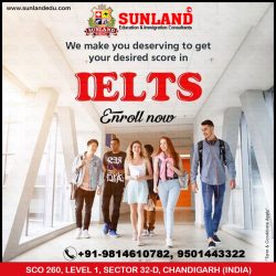 Best IELTS Learning Institute