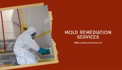 Mold Remediation Services