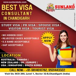 Best Immigration Consultant in India