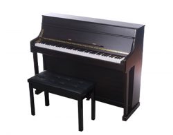 Electric Piano / Digital Piano