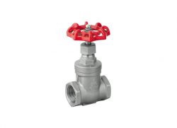 Gate Valve NPT/BSPT Threaded