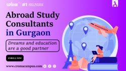 How Much Do Consultants Charge For An Abroad Study Visa?