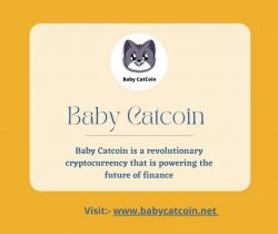 Baby Catcoin is a Cryptocurrency with an Infinite Supply