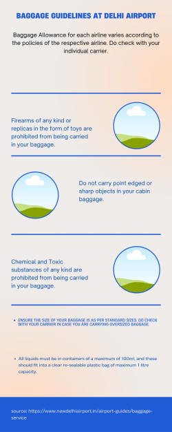 Baggage Guidelines at Delhi Airport