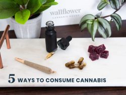 5 Ways to Consume Cannabis