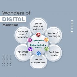 Digital Marketing in Panchkula