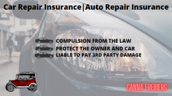 Need Auto Repair Insurance