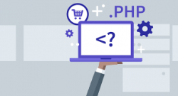 Hire Php Developer Online