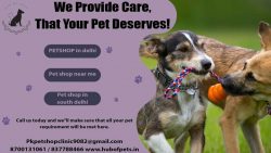 Pet Shop in Delhi | Pet Shop in South Delhi | Pet Shop near me