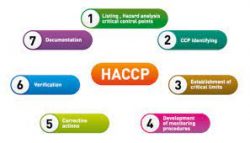 HACCP Food Safety Plan Template