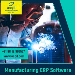 Manufacturing ERP Software