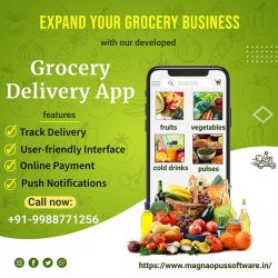 Grocery Delivery App Development