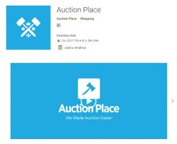 Online Auctions