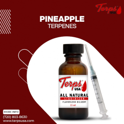 Buy The Best Pineapple terpenes