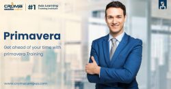 Primavera Online Training in Dubai