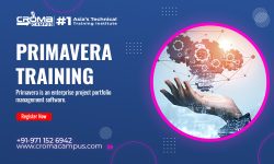 Primavera Online Training in Dubai