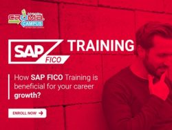 SAP FICO Training Institute in Delhi