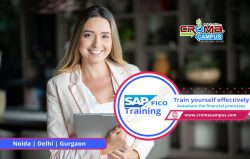 SAP FICO Training Institute in Delhi