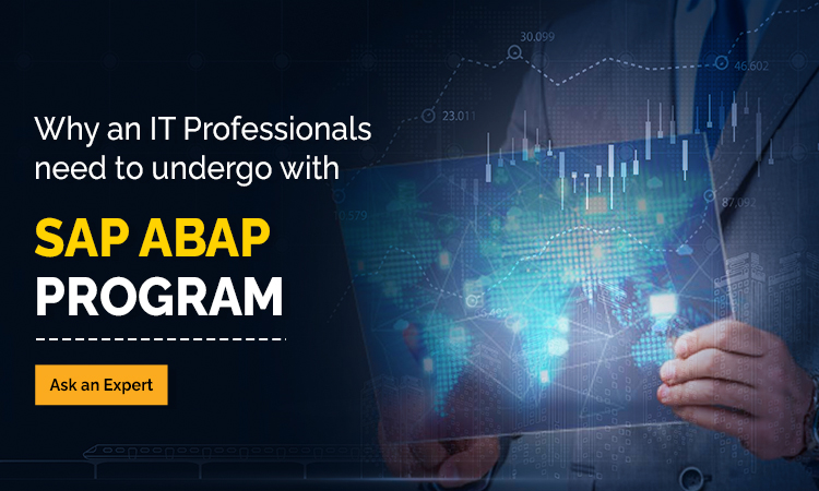 SAP ABAP Training in Delhi