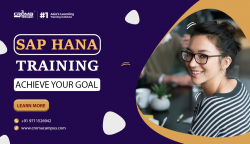 SAP HANA Training in Delhi