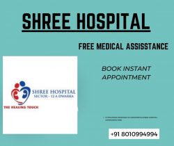 Shree Hospital