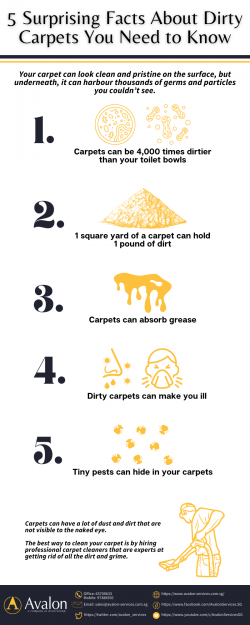 5 Surprising Facts About Dirty Carpets You Need to Know