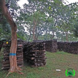 Hakkepuidu kokkuost | Metsa ABC