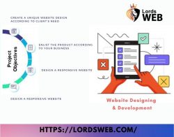 Website Designing & Development