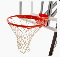 What to Look for in an Online Adjustable Basketball Hoop Store?