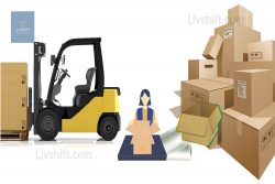 Packers Movers Delhi