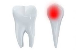 Dentist Open on Saturday Near Me | Dentist Open on Weekends
