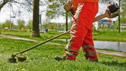 Best Gardeners