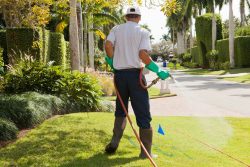 Best Pest Control San Antonio