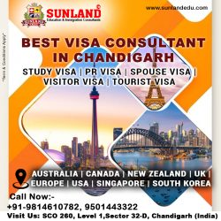 Best Canada Immigration Consultants in Chandigarh