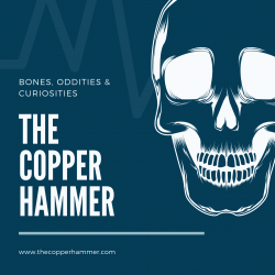 Best Human Skull Museums