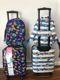 Best Kids Luggage