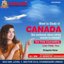 Study in Canada