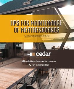 Are you looking for reliable and highly affordable Cedar Treatment in Auckland