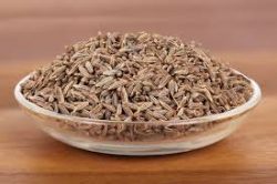 Cumin Seeds Manufacturer