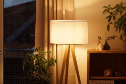 Buy Designer Floor Lamps Online in India