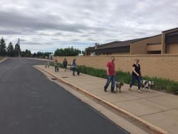 Cornerstone Dog Training