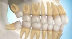 Professional Dental Clinic in Cypress, TX