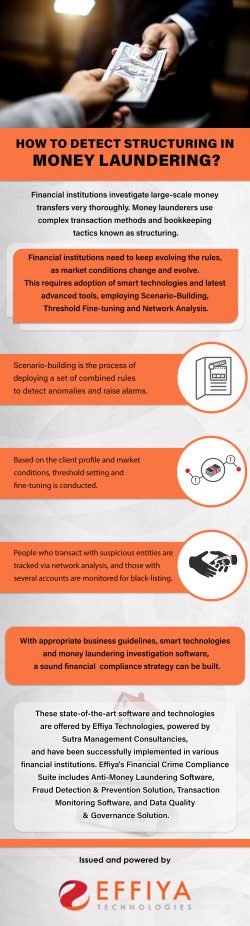 How to Detect Structuring in Money Laundering?