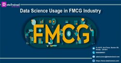 Expand your Skills in FMCG Analytics through DataTrained