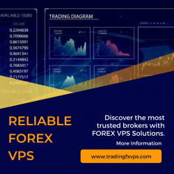 Forex Dedicated Server