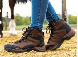 Reitstiefeletten | Kaufen Reitstiefeletten Damen Leder – Pegasus