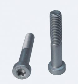 High Strength Zinc Plated Hexalobular Socket Head Bolts