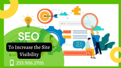 Increase the Visibility in Organic Way